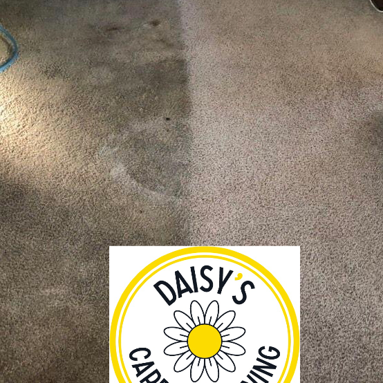 Daisys carpet cleaning | 12 Jena Ct, Greenwith SA 5125, Australia | Phone: 0439 797 925