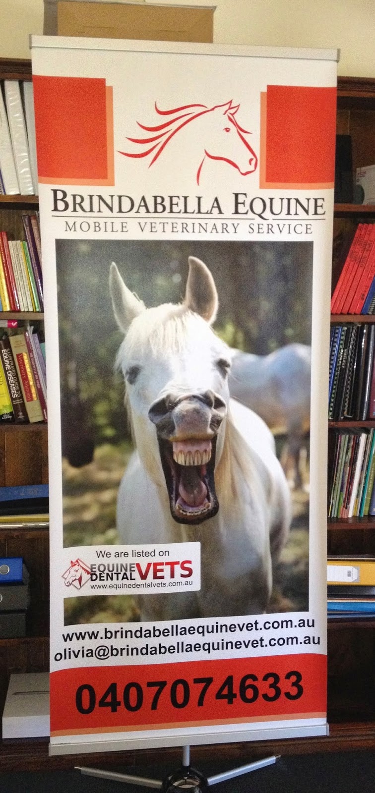 Brindabella Equine Mobile Veterinary Service | dentist | 209 Glengyle Road, Murrumbateman NSW 2582, Australia | 0429074686 OR +61 429 074 686