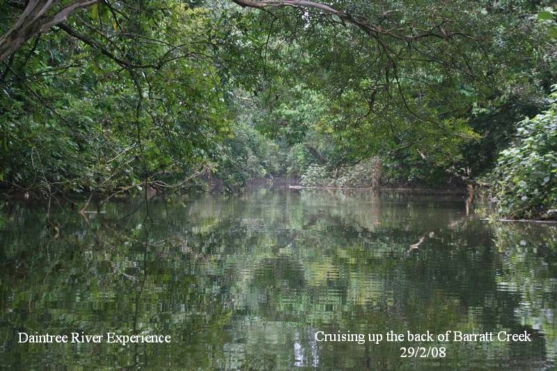Daintree River Experience | travel agency | Barratt Creek Landing, Daintree Road, Daintree, QLD 4873, Daintree QLD 4873, Australia | 0740987480 OR +61 7 4098 7480