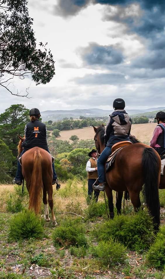 Mark Jones Training Stables | 420 Tschampions Rd, Macclesfield VIC 3782, Australia | Phone: 0448 001 547