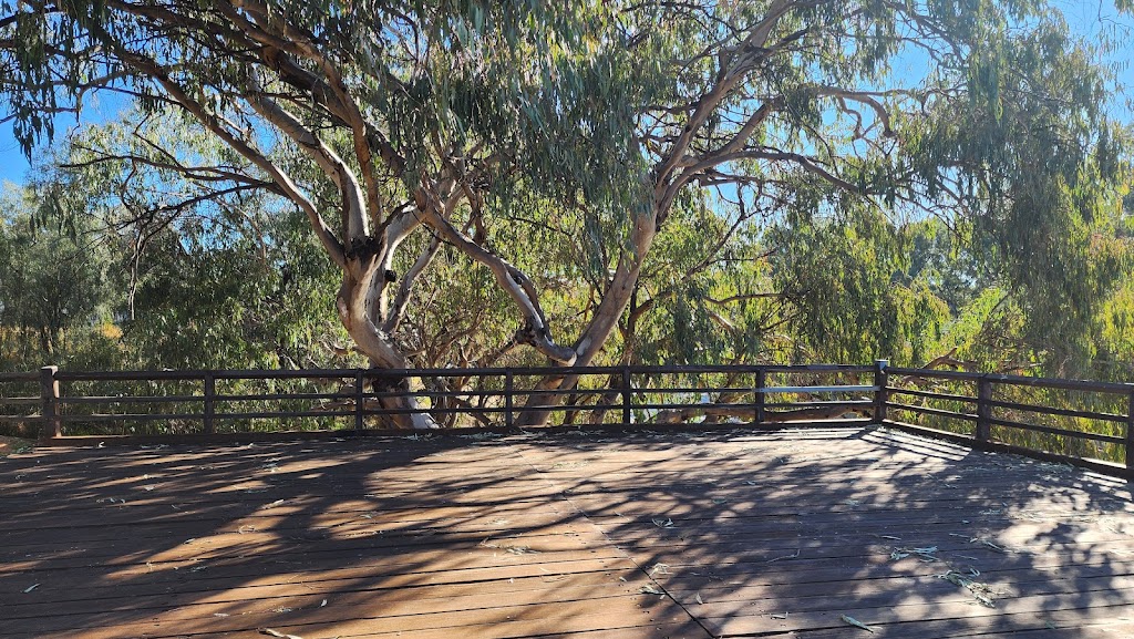 Darling River Bourke Golf Club | Gorrell Ave, Bourke NSW 2840, Australia | Phone: 0418 425 922