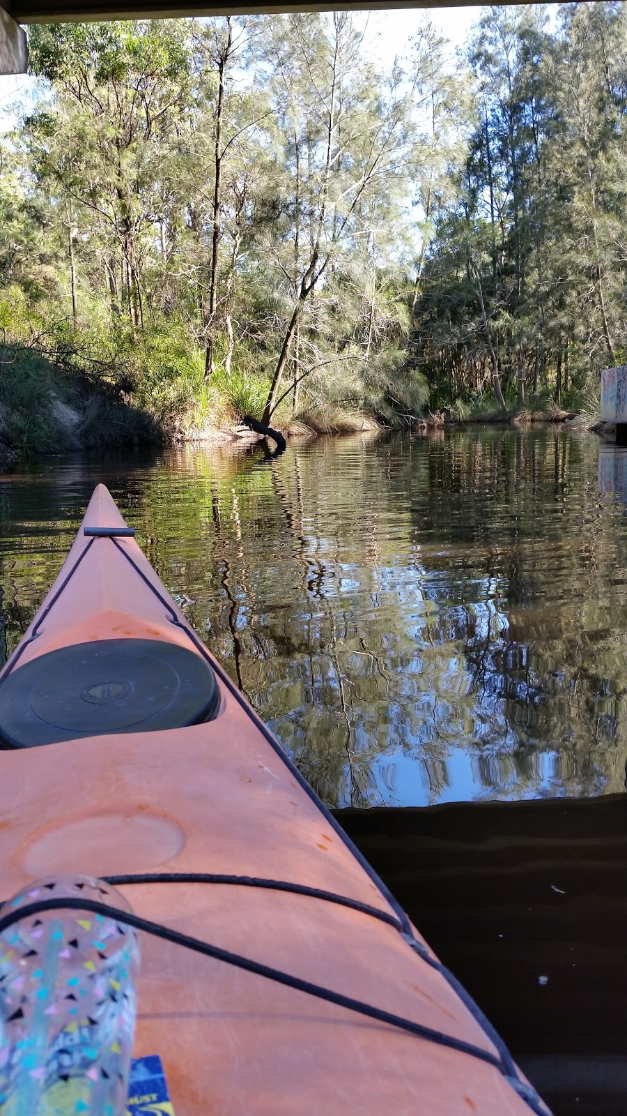 Bamayi (Spring Creek) Reserve | park | Blue Haven Community Hall, 14 Waterhen Cl, Blue Haven NSW 2262, Australia