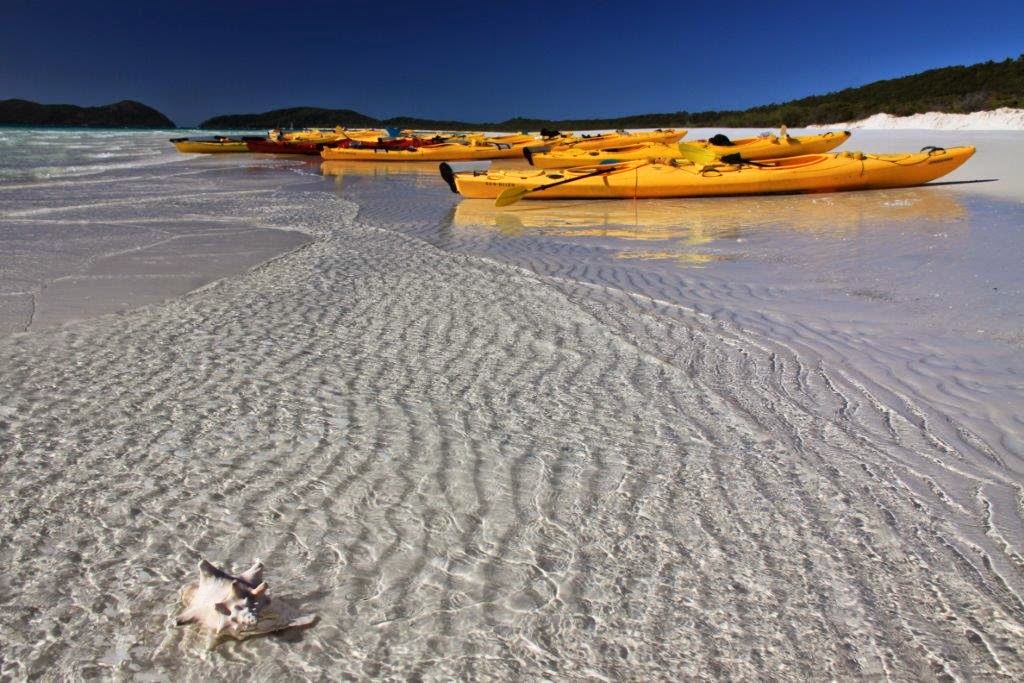 Salty Dog Sea Kayaking | Whitsunday Drive, Shute Harbour QLD 4802, Australia | Phone: (07) 4946 1388