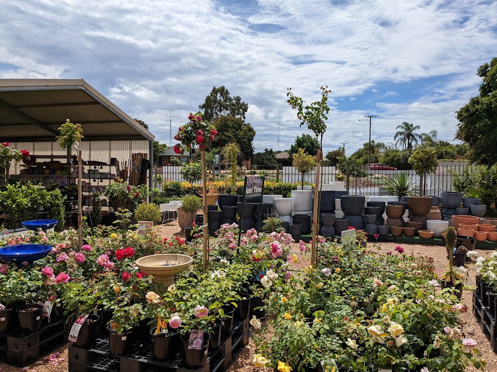 The Earth Works Garden Centre | store | 13 Old Sturt Hwy, Berri SA 5343, Australia | 0885823775 OR +61 8 8582 3775