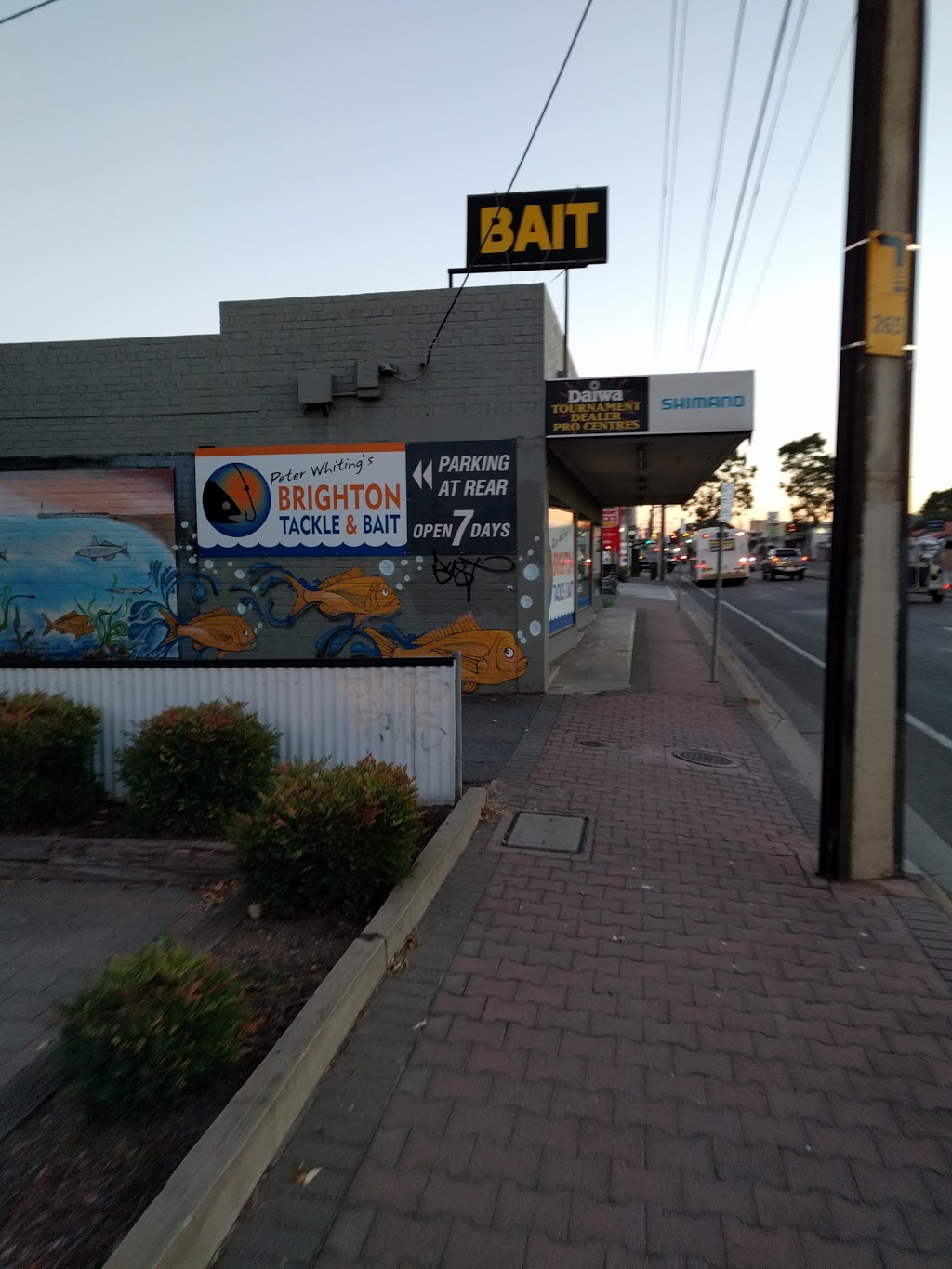 Brighton Tackle & Bait | store | 535 Brighton Rd, South Brighton SA 5048, Australia | 0882982774 OR +61 8 8298 2774