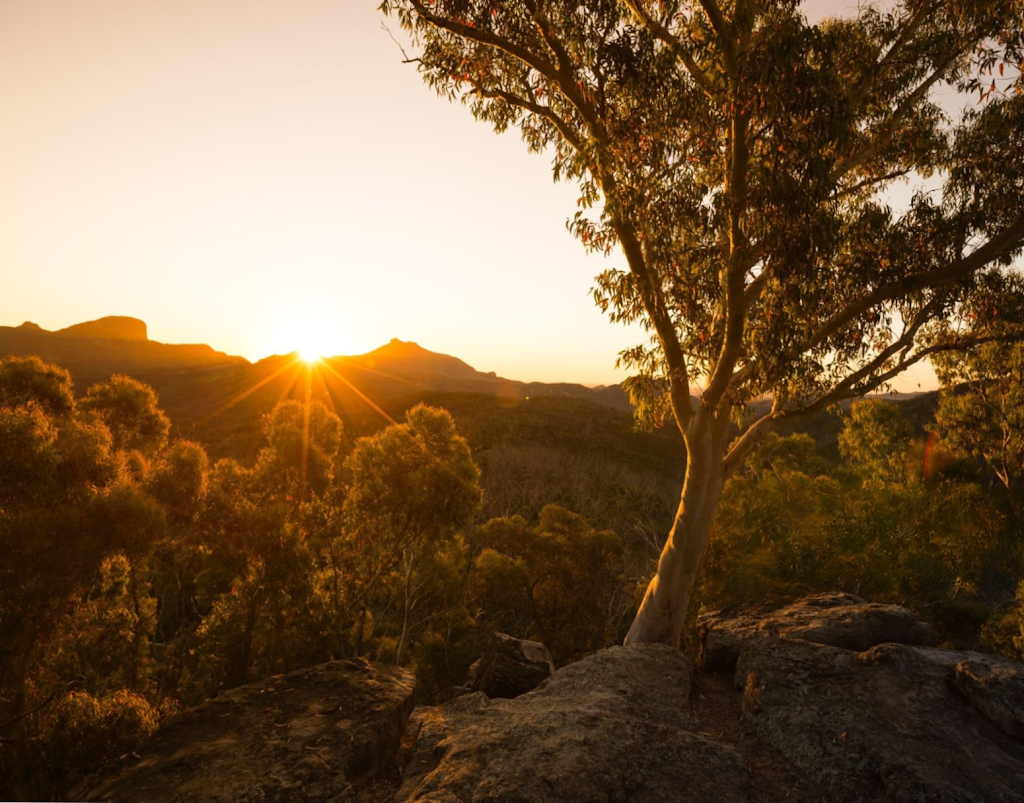 Bouddi Bushfire Consulting | 21 Ocean Dr, MacMasters Beach NSW 2251, Australia | Phone: 0412 561 028