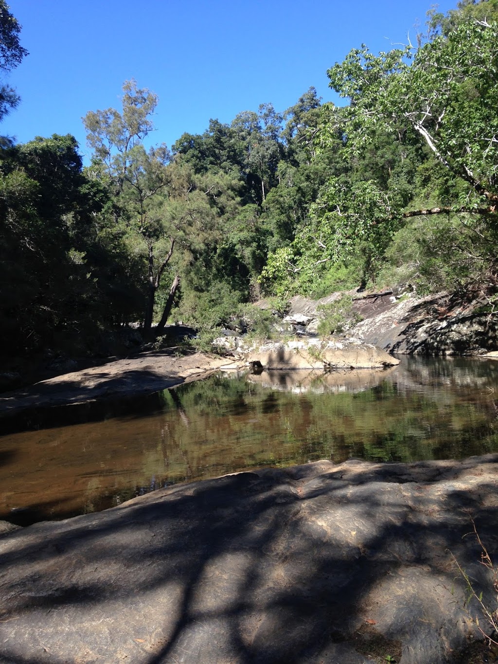 Eungella National Park-Broken River Section | park | Broken River QLD 4757, Australia