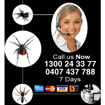 Micropest - Pest Control Sydney | 19/11-21 Rose St, Chippendale NSW 2008, Australia | Phone: 1300 884 166