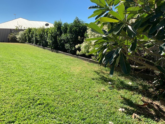 Tailored Lawn Services | 8 Rosebrook Pl, Gracemere QLD 4702, Australia | Phone: 0413 594 113