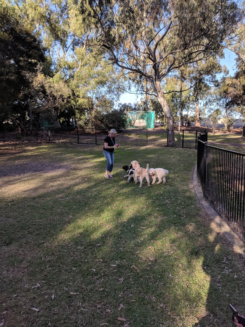 Yarra Vista Enclosed Dog Park/off Leash excercise Area | park | 66 Dean Rd, Jandakot WA 6164, Australia