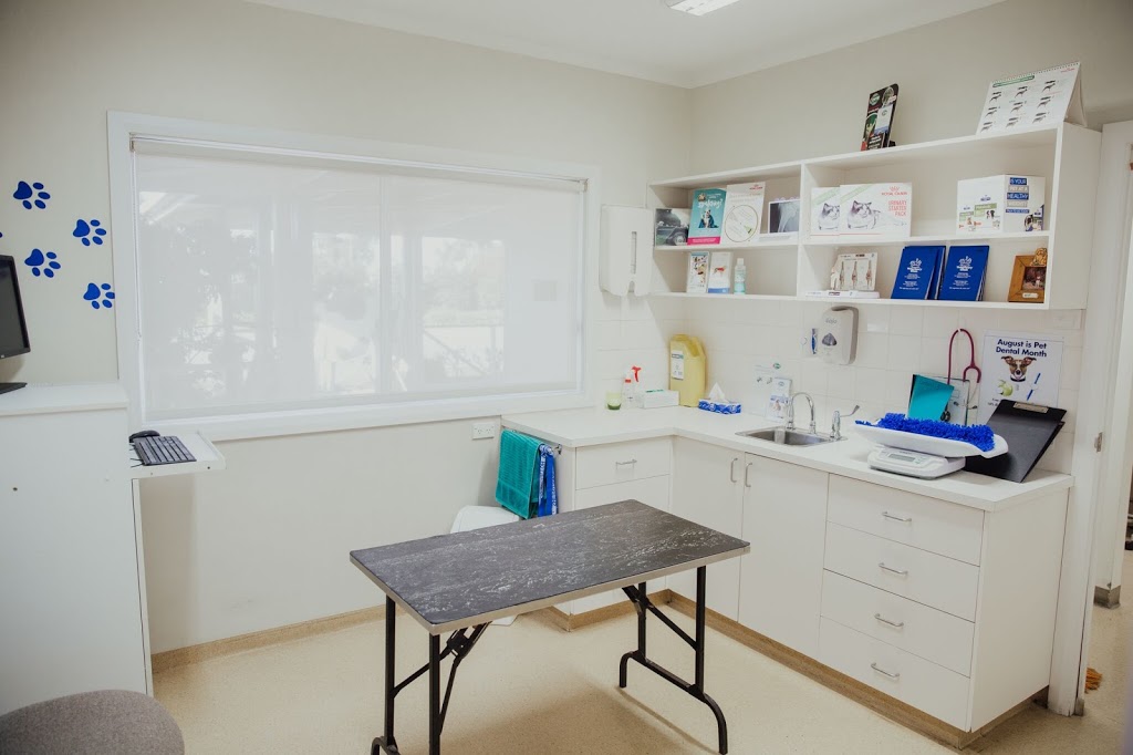 Shepparton Veterinary Clinic | 2 Wanganui Rd, Shepparton VIC 3631, Australia | Phone: (03) 5821 3188