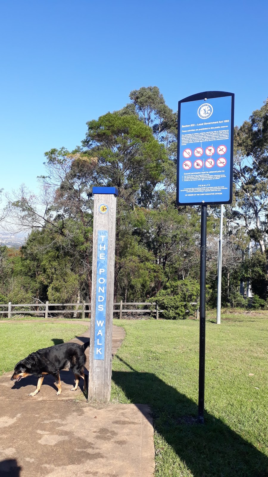 Eric Mobbs Memorial Park | park | 356 Marsden Rd, Carlingford NSW 2118, Australia