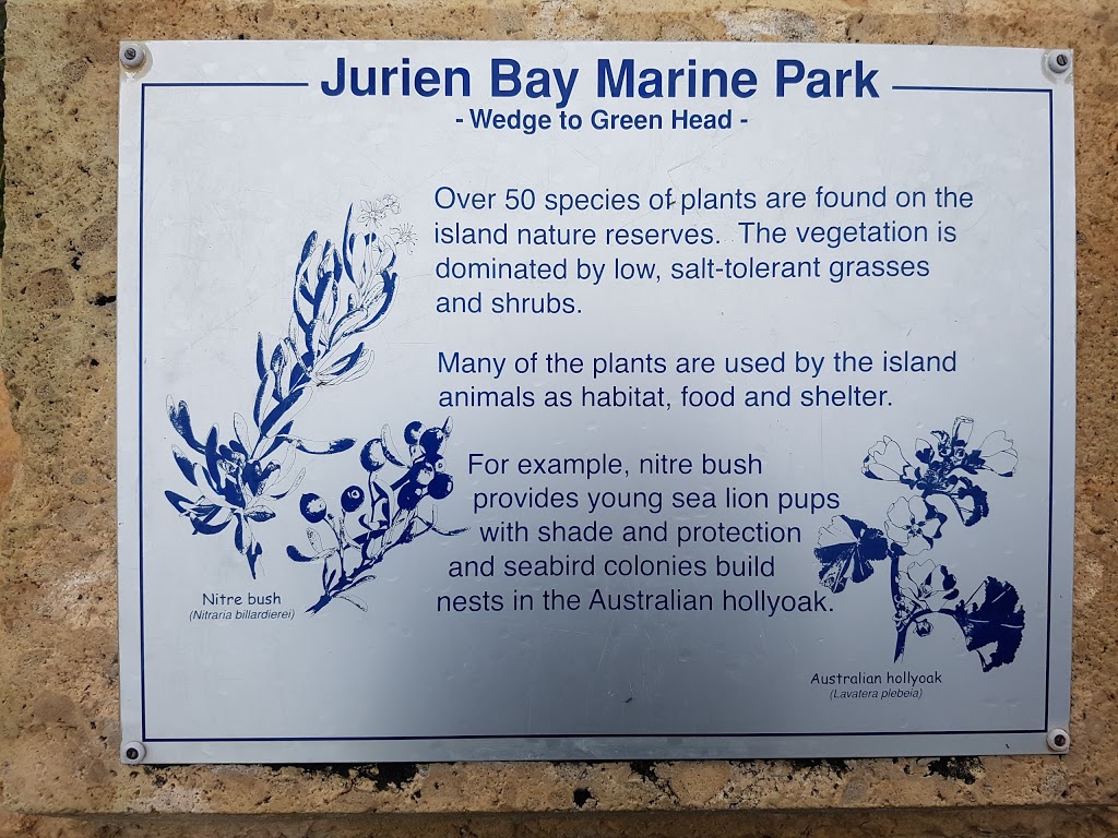 Dobbyn Park | park | Jurien Bay WA 6516, Australia