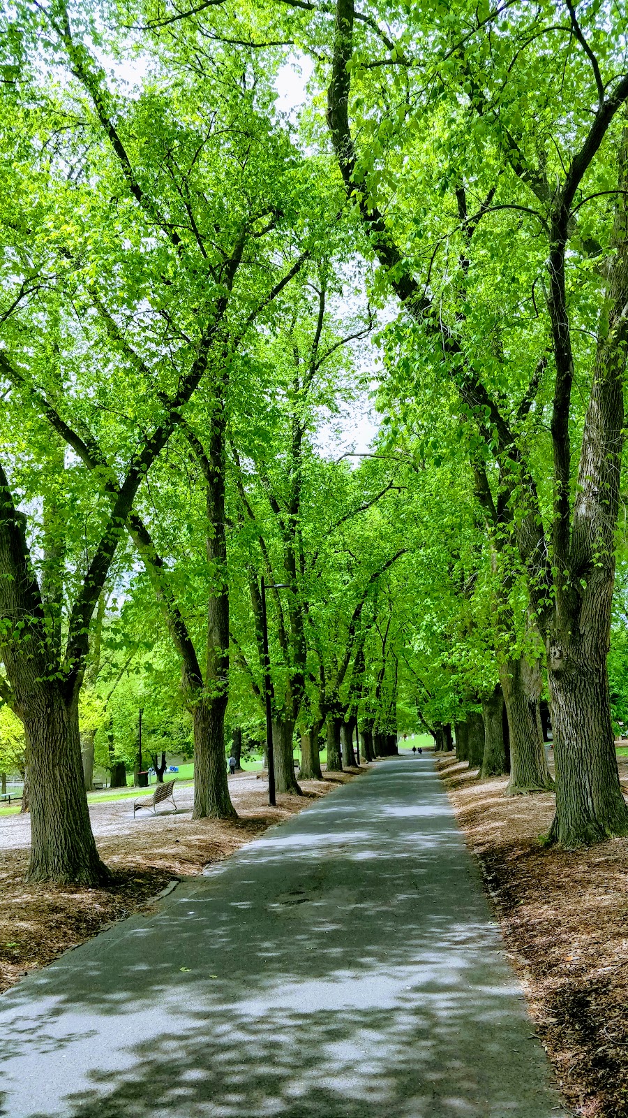 Coburg Lake Reserve | park | Coburg North VIC 3058, Australia