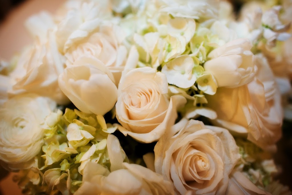 Above And Beyond Funerals - Memorial & Funeral Services | 1/10 Northward St, Upper Coomera QLD 4209, Australia | Phone: 0433 154 530