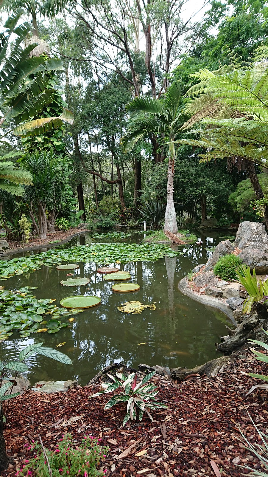 Botanic Gardens Parking | parking | Coffs Harbour NSW 2450, Australia