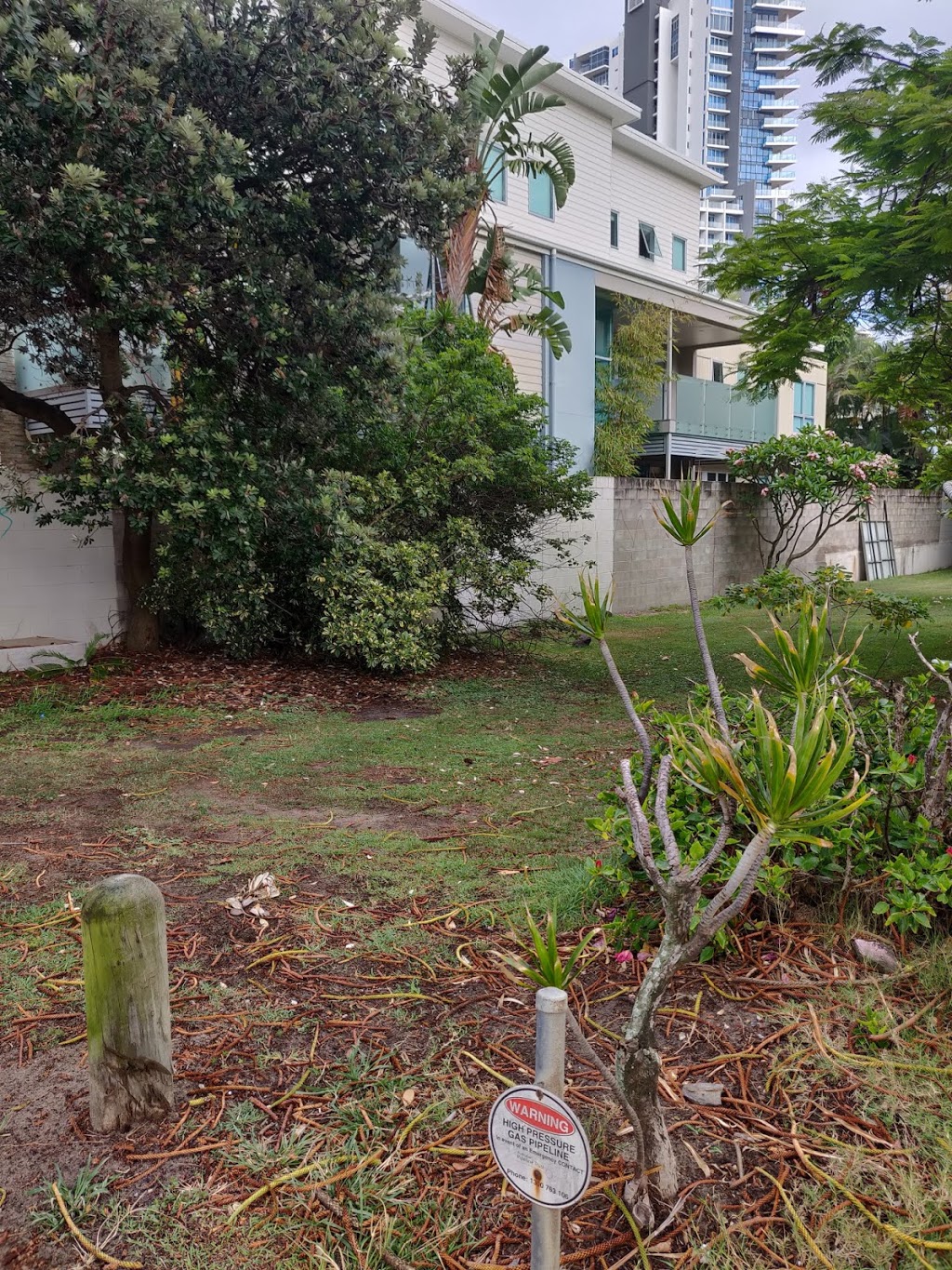 Thornton Street Reserve | park | Surfers Paradise QLD 4217, Australia