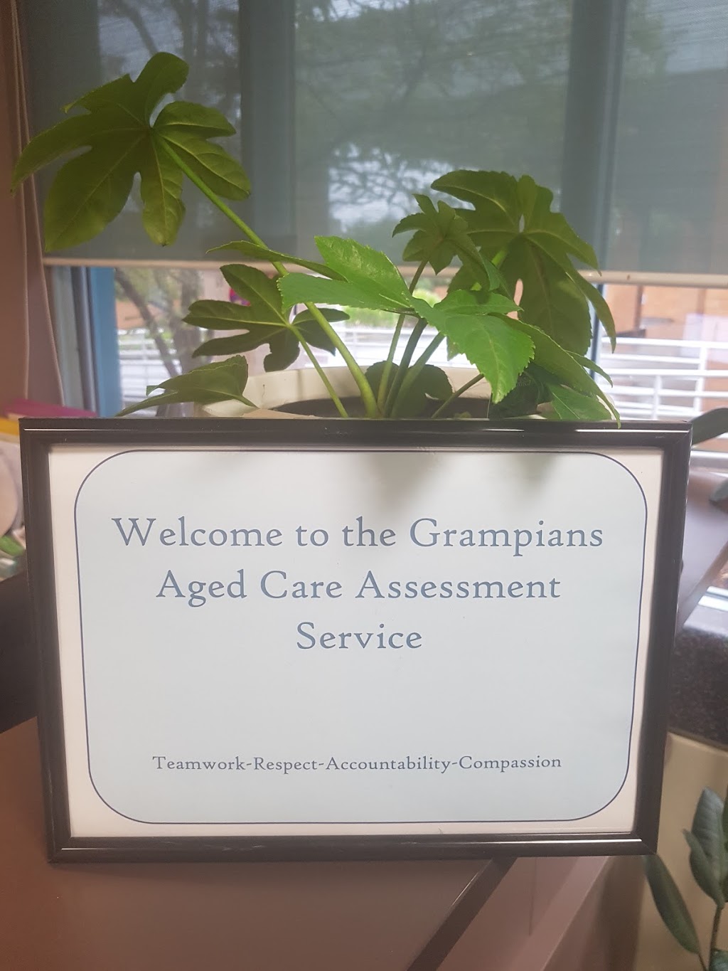 Grampians Aged Care Assessment Service | 102 Ascot St S, Ballarat Central VIC 3350, Australia | Phone: (03) 5320 3740