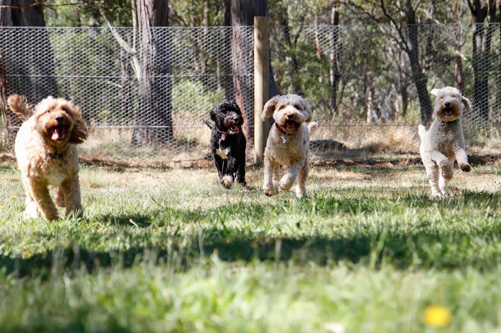 DOGUE Country Retreat |  | 112 Compton Park Rd, Berrima NSW 2577, Australia | 0248771877 OR +61 2 4877 1877