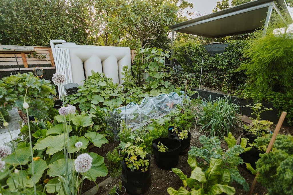 Fluro Gardens | 40 Queen St, Lorn NSW 2320, Australia | Phone: 0494 372 117