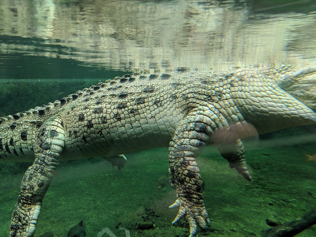 WILD LIFE Sydney Zoo | 1-5 Wheat Rd, Sydney NSW 2000, Australia | Phone: 1800 206 158