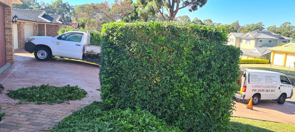 A1 Lawncraft & Cleaning Services | 13 Jeremy Way, Cecil Hills NSW 2171, Australia | Phone: 0439 264 601