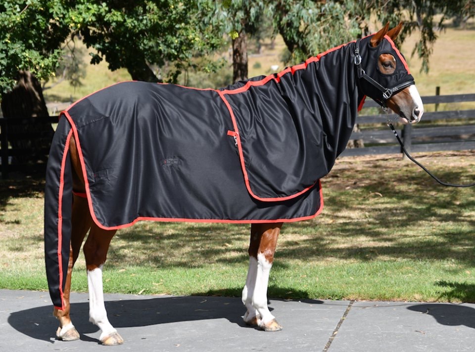 Impressa Horse Rugs | store | Sun Valley NSW 2777, Australia | 0448823284 OR +61 448 823 284