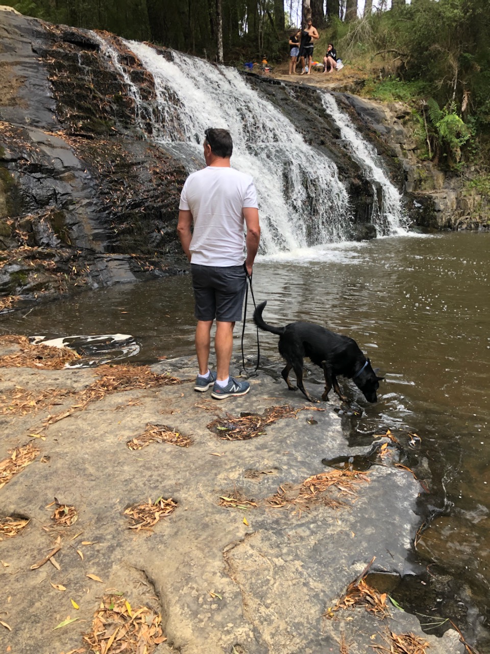 Morwell River Falls Reserve | park | Morwell River Rd, Grand Ridge VIC 3870, Australia