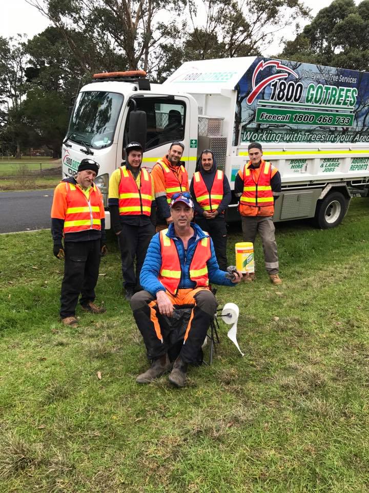 1800GoTrees division of Valley Wide Tree Service Pty Ltd | police | 70 Old Melbourne Rd, Maryvale VIC 3840, Australia | 1800468733 OR +61 1800 468 733