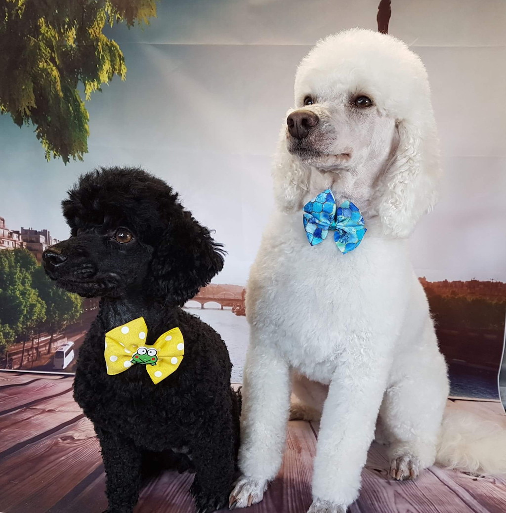 All Breeds Dog Grooming | 45 Sewell St, Yealering WA 6372, Australia | Phone: 0409 218 277