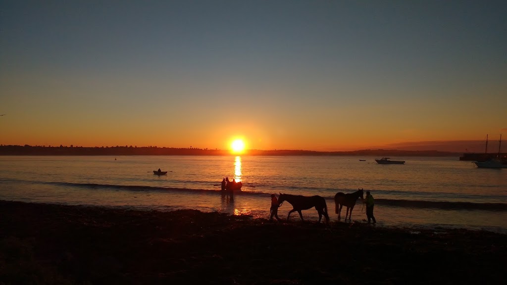 Lady Bay Warrnambool | store | Worm Bay Rd, Warrnambool VIC 3280, Australia