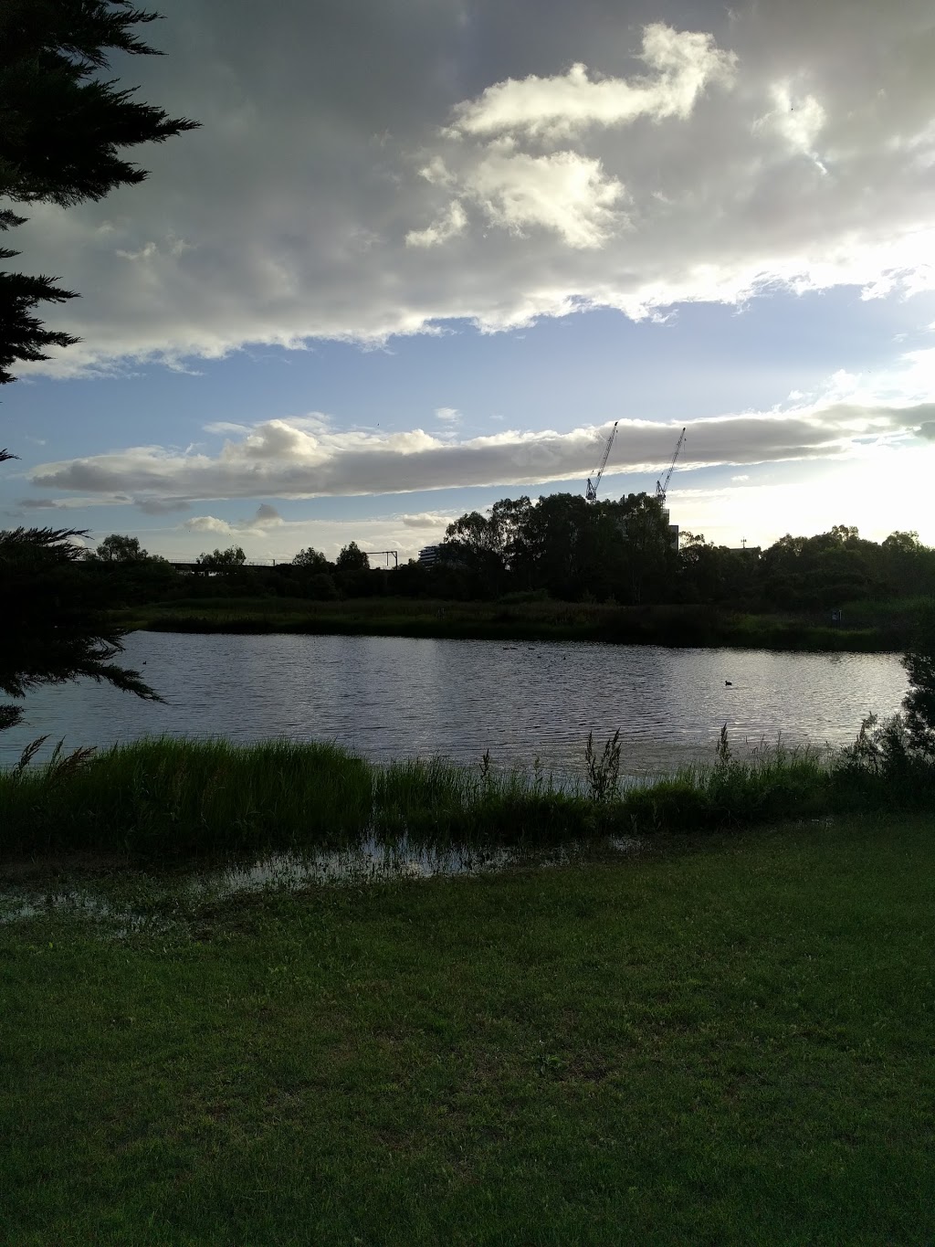 Newells Paddock Wetlands Reserve | park | Footscray VIC 3011, Australia