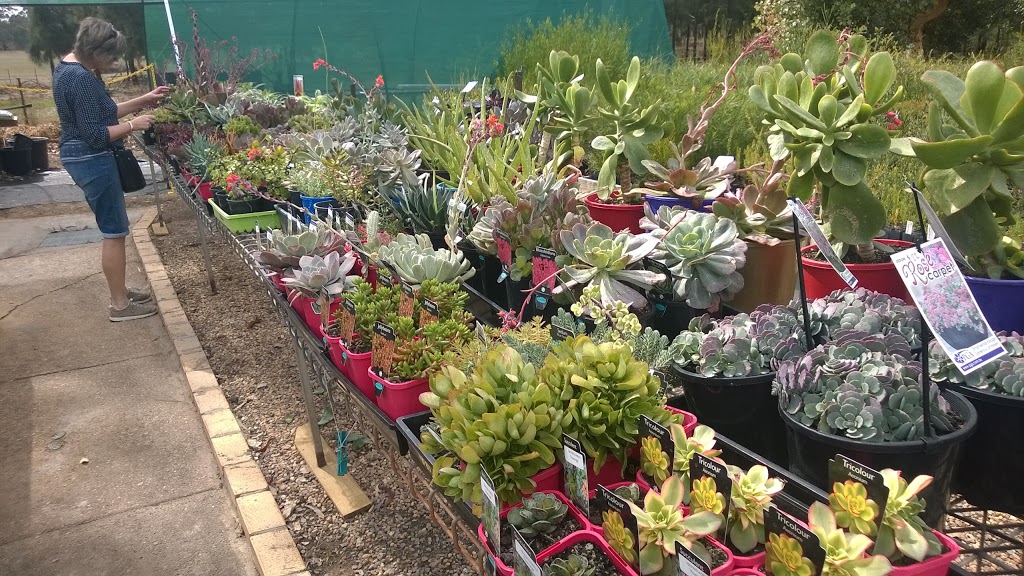 Wagga Nursery | store | 7161 Olympic Hwy, Wagga Wagga NSW 2650, Australia | 0269312600 OR +61 2 6931 2600