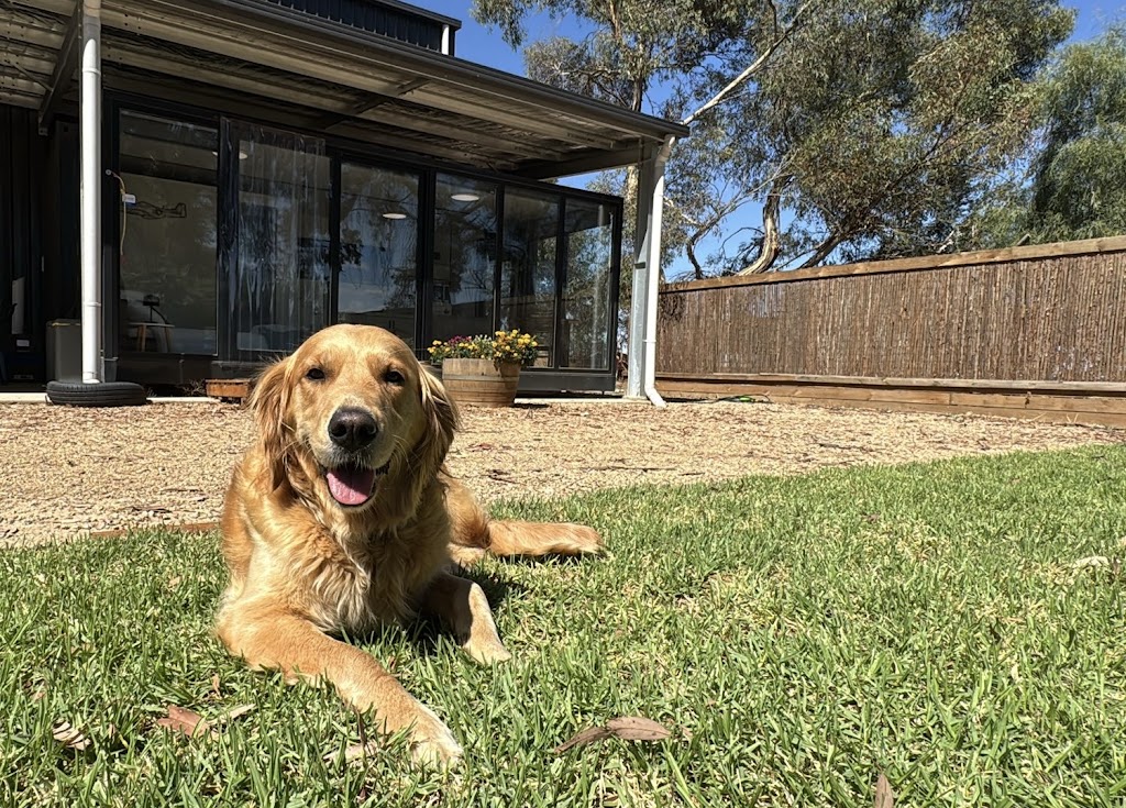 Little Red Plane Stay | 90 Cahills Rd, Yarrawonga VIC 3730, Australia | Phone: 0411 824 405