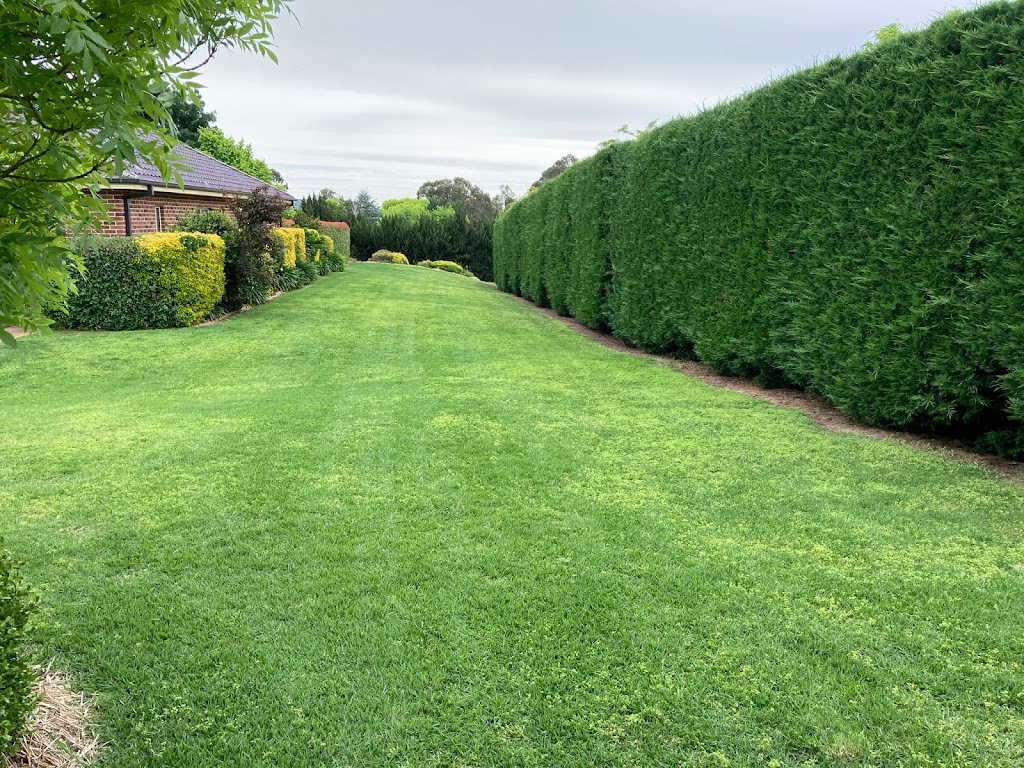 Mower Mate Lawn and Property Maintenance | general contractor | 4172 Olympic Hwy, The Rock NSW 2655, Australia | 0437904799 OR +61 437 904 799