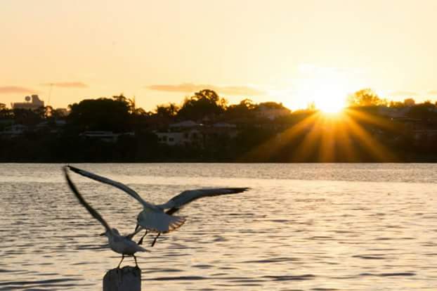 Maylands Jetty | East St, Maylands WA 6051, Australia | Phone: 0400 265 071