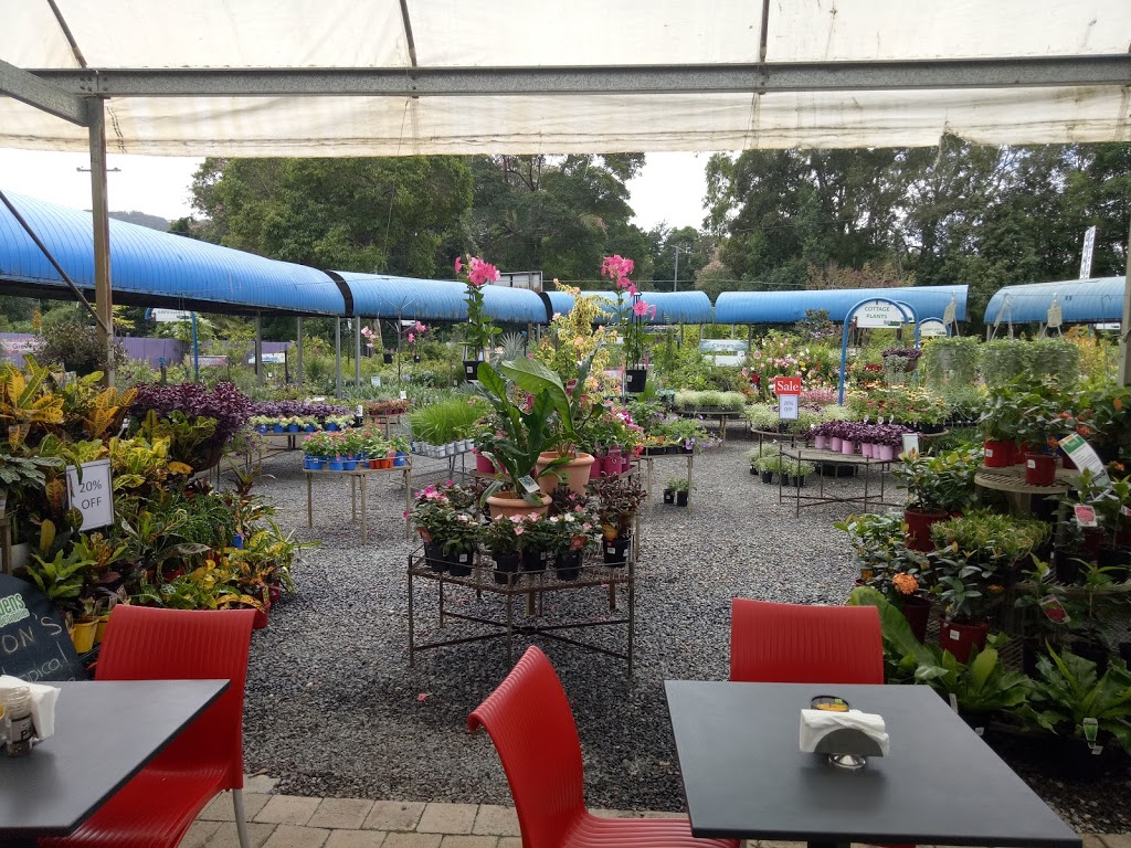 Total Gardens | store | 5 Nelson St, Coffs Harbour NSW 2450, Australia | 0266512002 OR +61 2 6651 2002