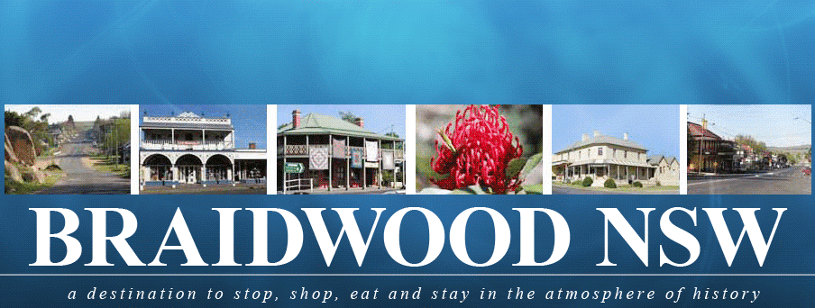 Braidwood Businesses - Places to visit, shop and stay | travel agency | Wallace St, Braidwood NSW 2622, Australia