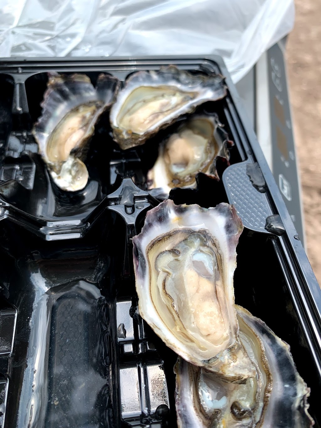 Moreton Bay Rock Oysters Pty Ltd | 50 Toulkerrie Track, Moreton Island QLD 4025, Australia | Phone: (07) 3409 0133