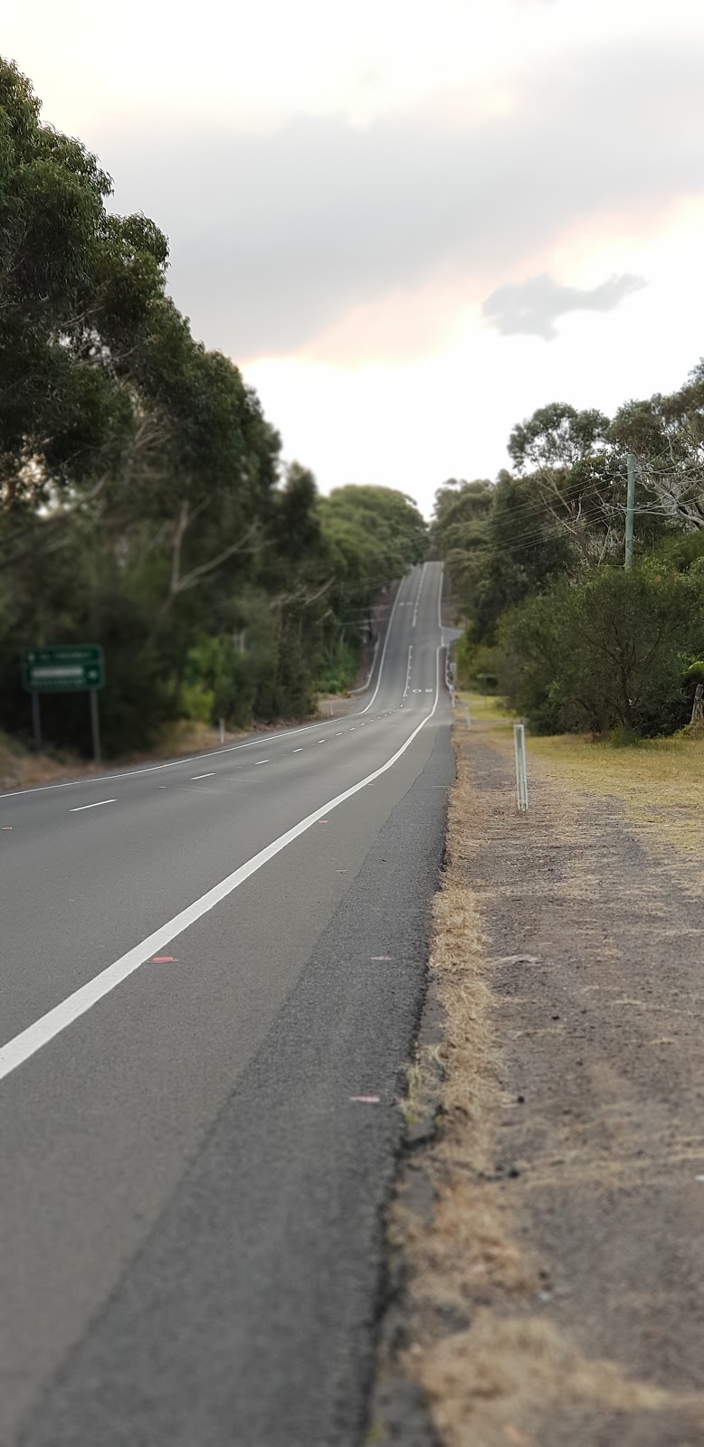 Just Cruisin Motorcycle Tours | travel agency | 69 Lawrence Hargrave Dr, Stanwell Tops NSW 2508, Australia | 0414942598 OR +61 414 942 598