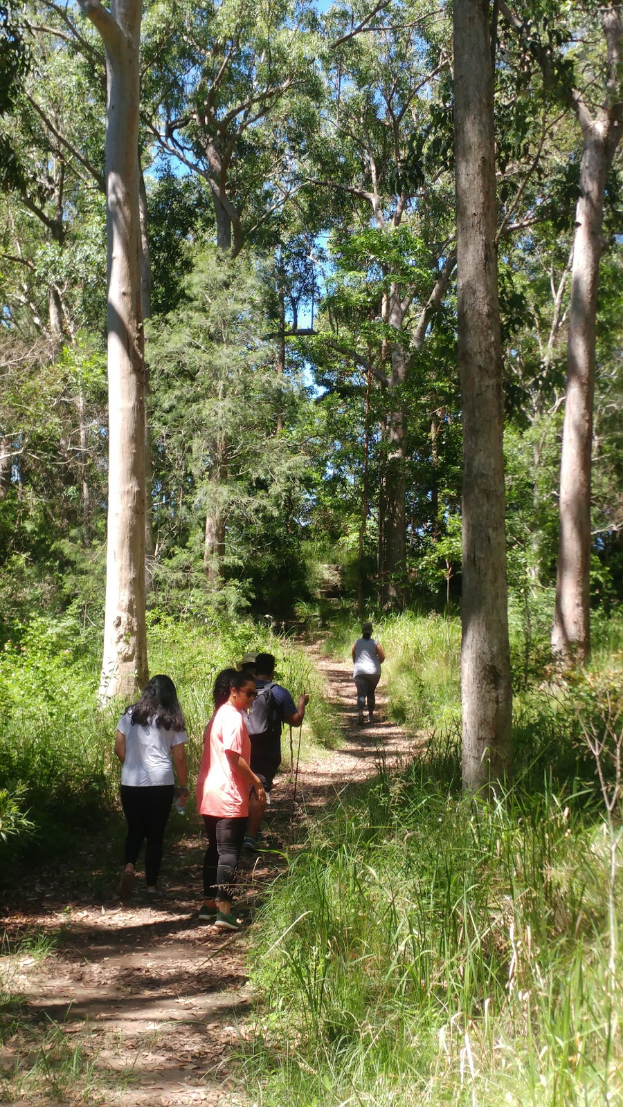 Mount Nebo Lookout | 60 Mount Nebo Break, Mount Nebo QLD 4061, Australia | Phone: (07) 3403 8888