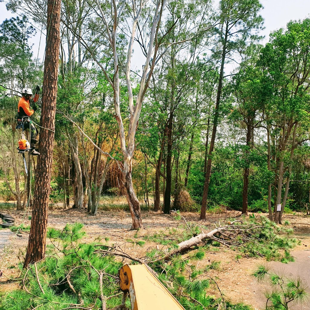 Tree Smart Brisbane - Tree Lopping and Stump Grinding | 27 Bettson Blvd, Griffin QLD 4503, Australia | Phone: 0487 369 639