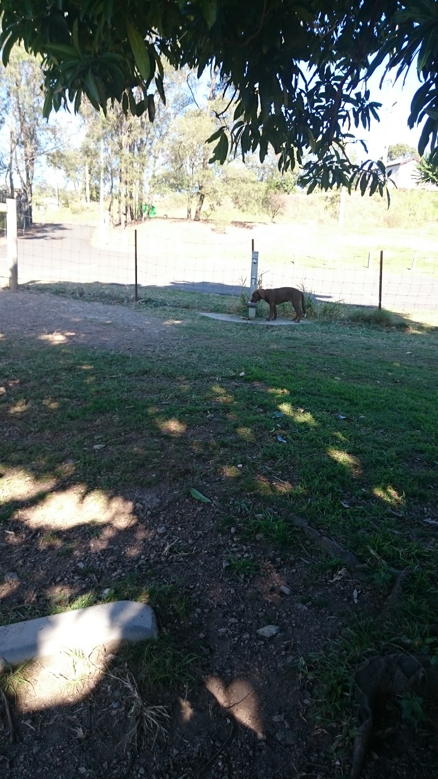 Bunya Dog Park | 371 Bunya Rd, Bunya QLD 4055, Australia