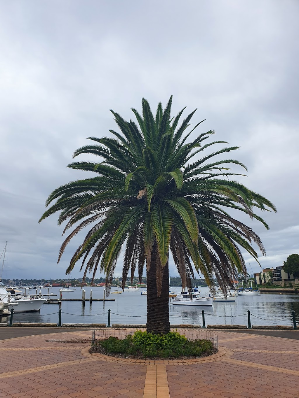 Balmain Cove Park | 5 Wulumay Cl, Rozelle NSW 2039, Australia