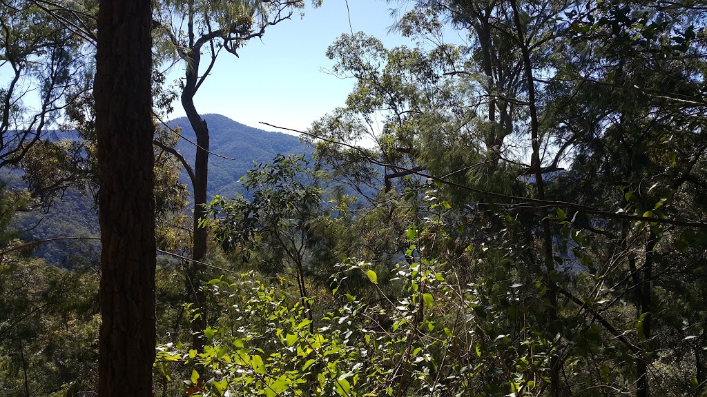 Bulburin National Park | Dalga QLD 4630, Australia