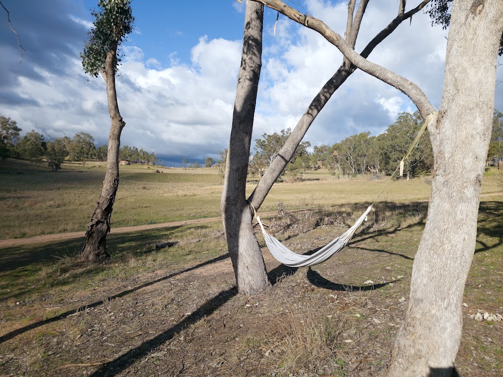 Resteasy Farmstay | 32 Hadabob Rd, Frog Rock NSW 2850, Australia | Phone: 0424 164 824