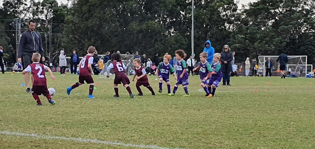 Westlakes Wildcats Football Club | Stilling St, Rathmines NSW 2283, Australia | Phone: 0447 449 146