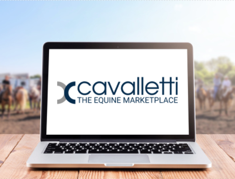 Cavalletti Equine Marketplace | Victor Rd, Darlington WA 6070, Australia | Phone: 0416 224 680
