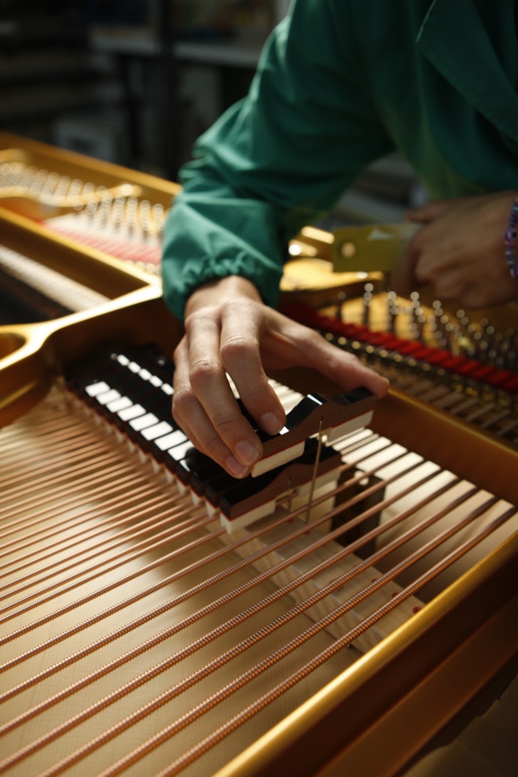 Australia Piano World | 8 Case St, Southport QLD 4215, Australia | Phone: (07) 5606 0199
