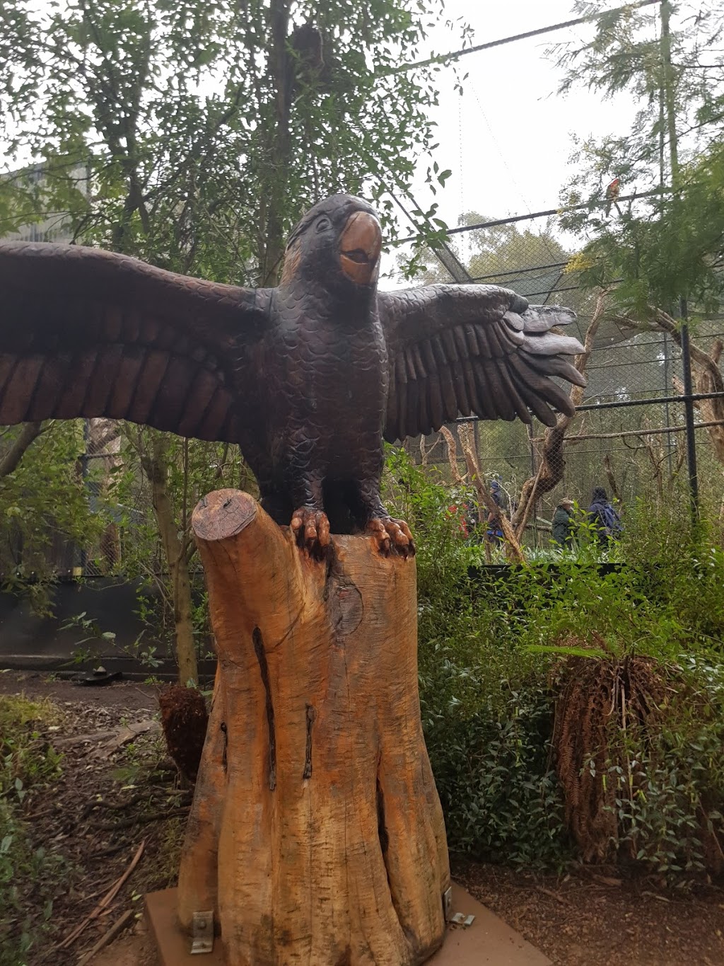 Healesville Sanctuary | zoo | Badger Creek Rd, Badger Creek VIC 3777, Australia | 1300966784 OR +61 1300 966 784